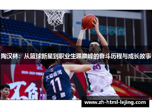 陶汉林：从篮球新星到职业生涯巅峰的奋斗历程与成长故事